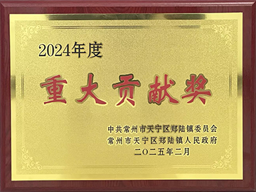 2024年重大贡献奖